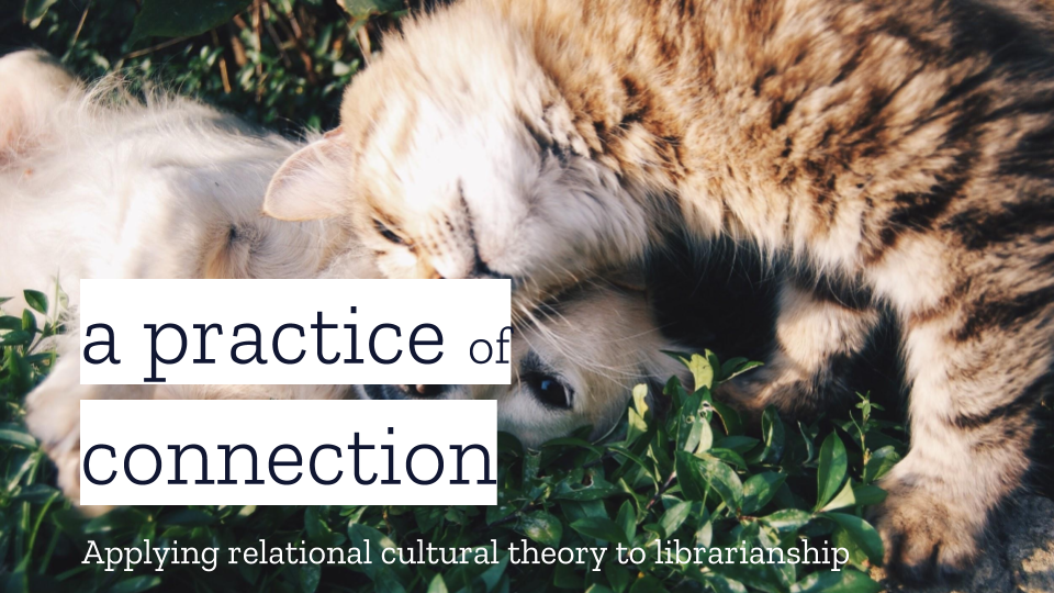 title slide from the presentation "a practice of connection" [image of a cat and dog cuddling]